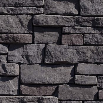 Mountain-Ledge_Black-Bear