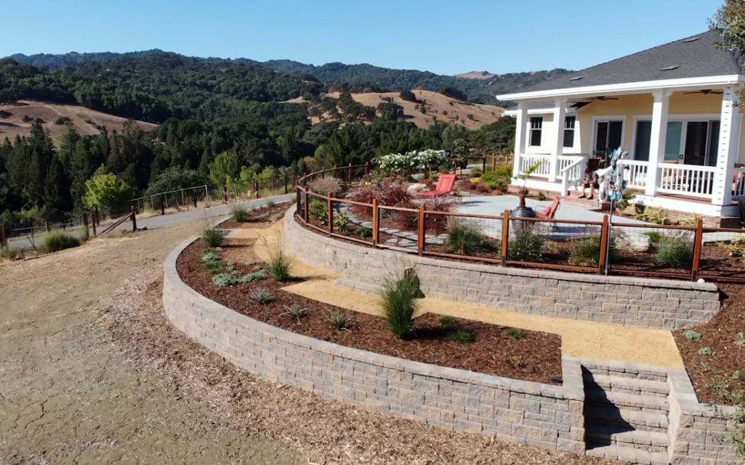 Vince’s Landscaping Hillside