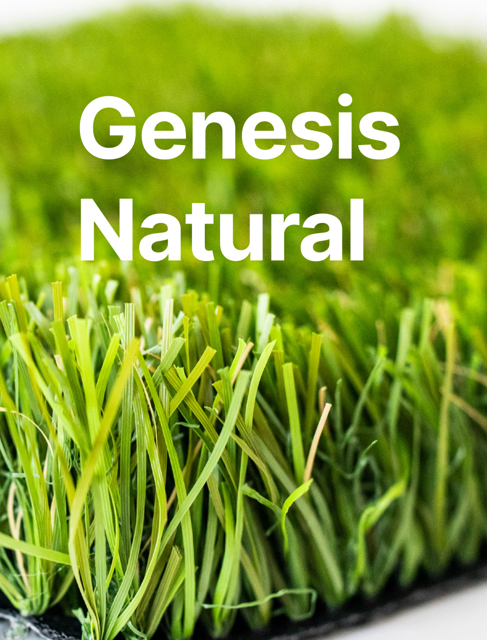 Genesis-Natural Genesis Natural link to pdf