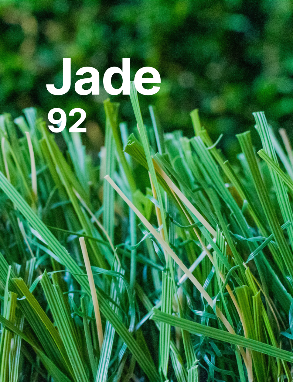 Jade92 Jade 92 image link to product sheet