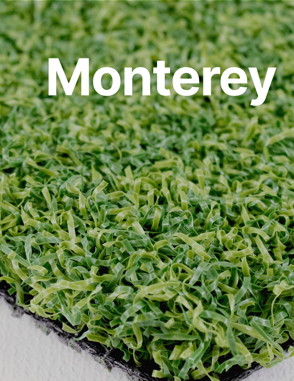 Monterey Monterey link image